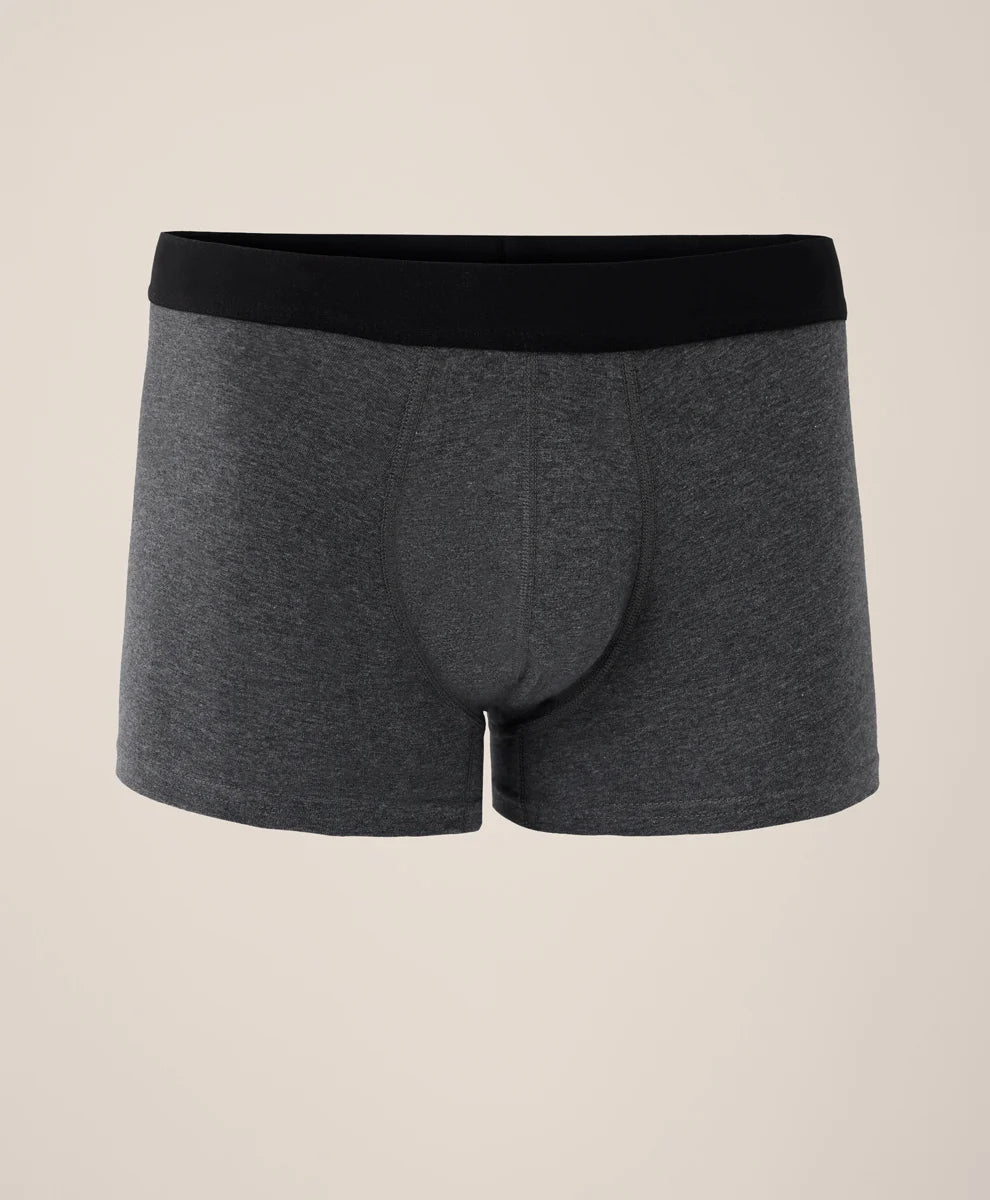 everyday trunk